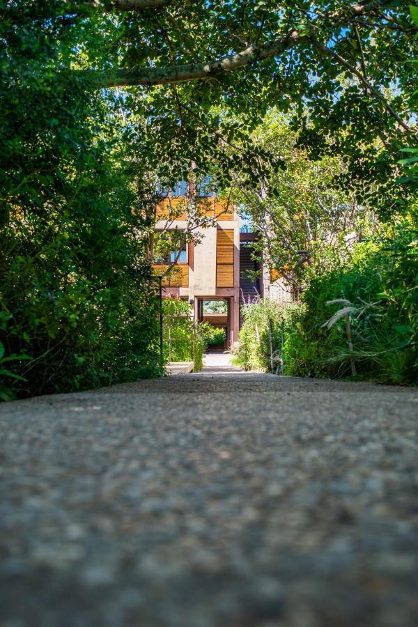 Casa De Agua Hotel Tepoztlan Ngoại thất bức ảnh
